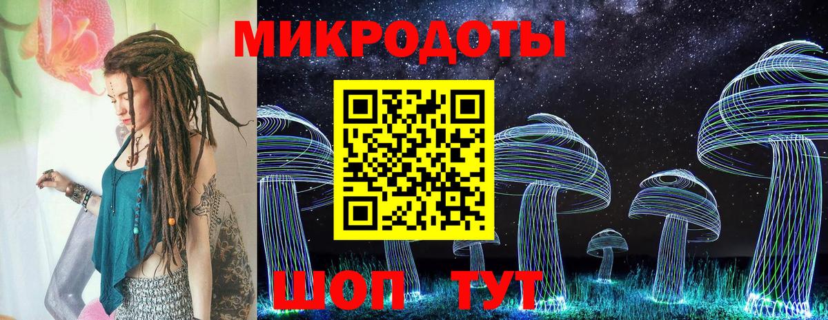 Псилоцибиновые грибы Psilocybe Калининград