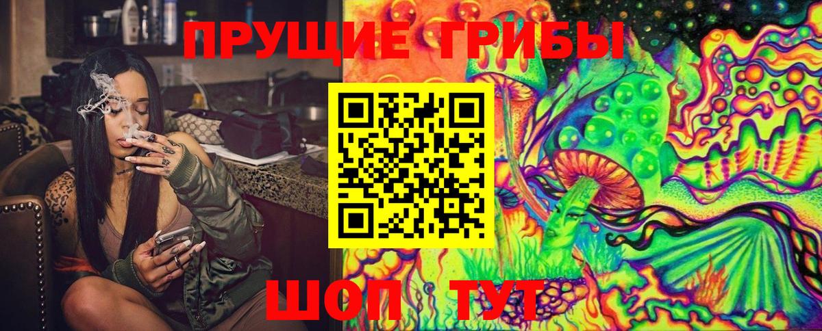 Калининград  где купить наркоту  Вход с VPN  Галлюциногенные грибы MAGIC MUSHROOMS 